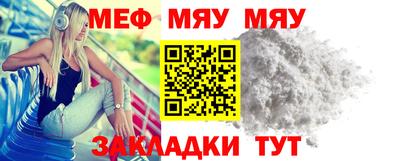 индика Гатчина