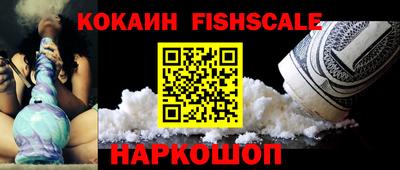 индика Гатчина