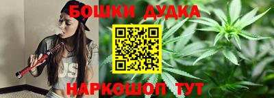 индика Гатчина
