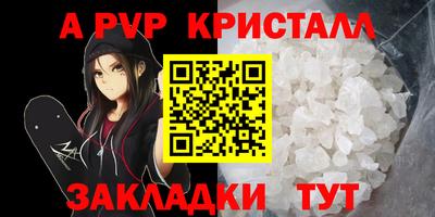 индика Гатчина