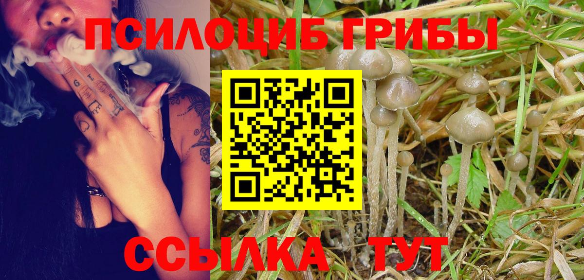 Нижнекамск  Галлюциногенные грибы мухоморы  Вход с VPN 